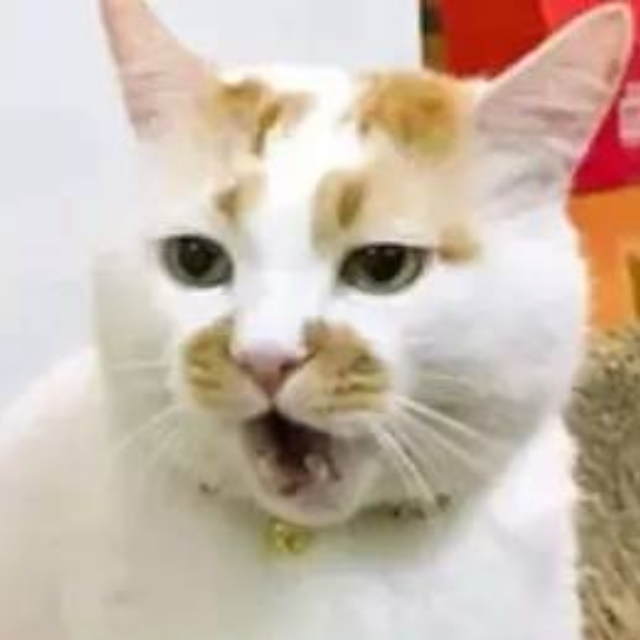 头像